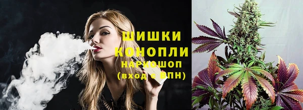 сатива Аркадак