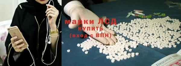 сатива Аркадак